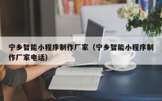 酒泉宁乡智能小程序制作厂家（宁乡智能小程序制作厂家电话）