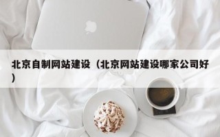酒泉北京自制网站建设（北京网站建设哪家公司好）